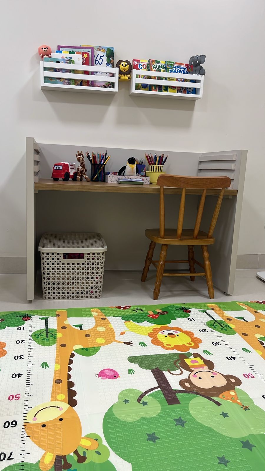 Mariana  Fernandes Boccanera-0