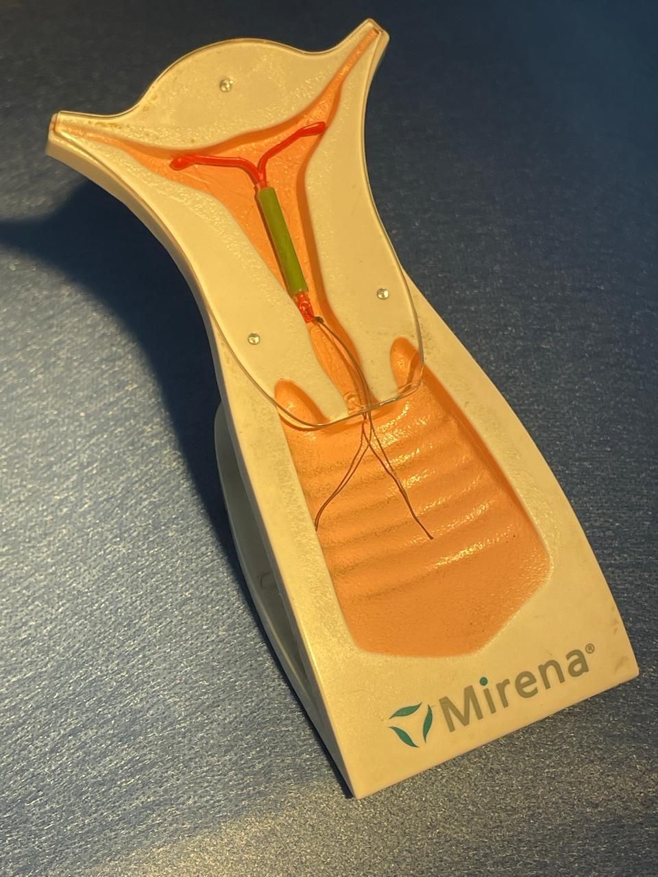 Diego Hernando Diaz Botero-11