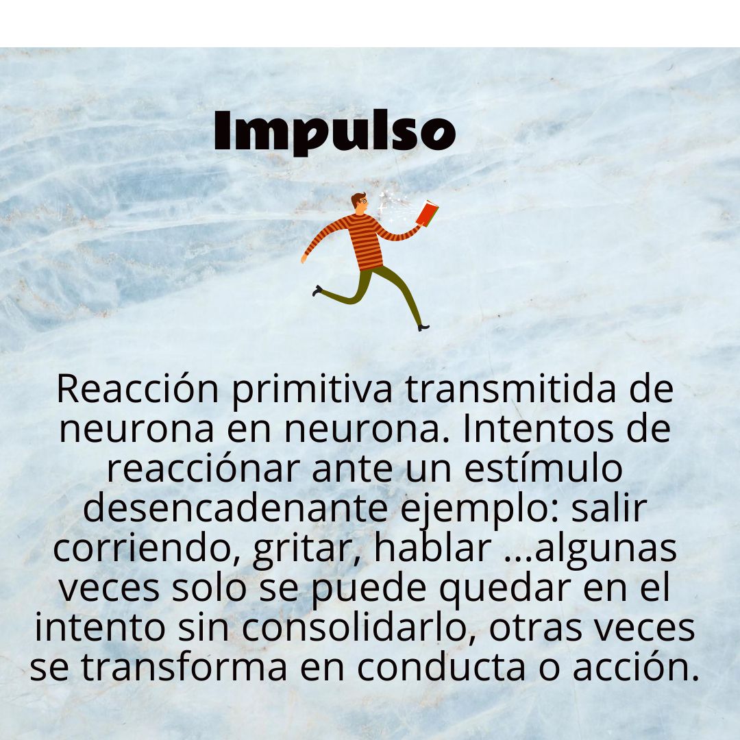 Ángela Mireya Páez Chávez-31