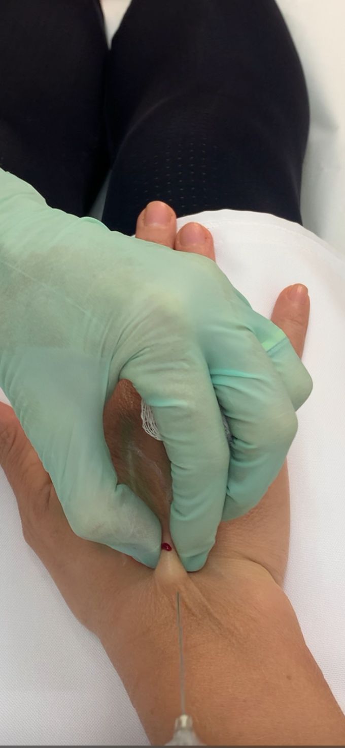 Karina Streliaev Dziekaniak-11