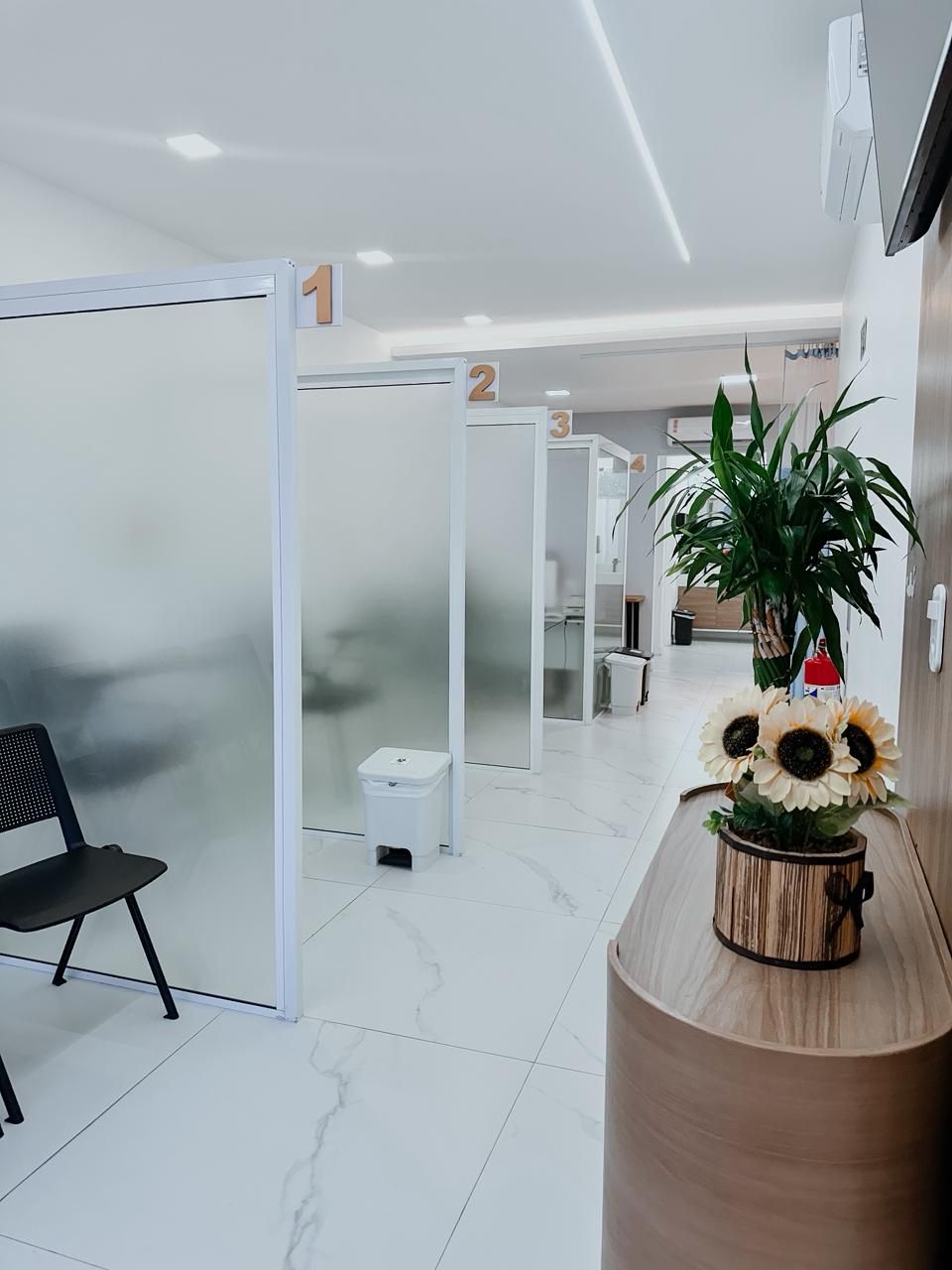 Fernando Menezes  Vieira-15