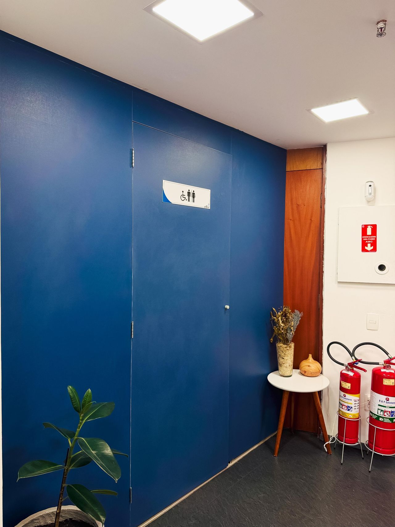 Vinícius  Rodrigues Silva-0