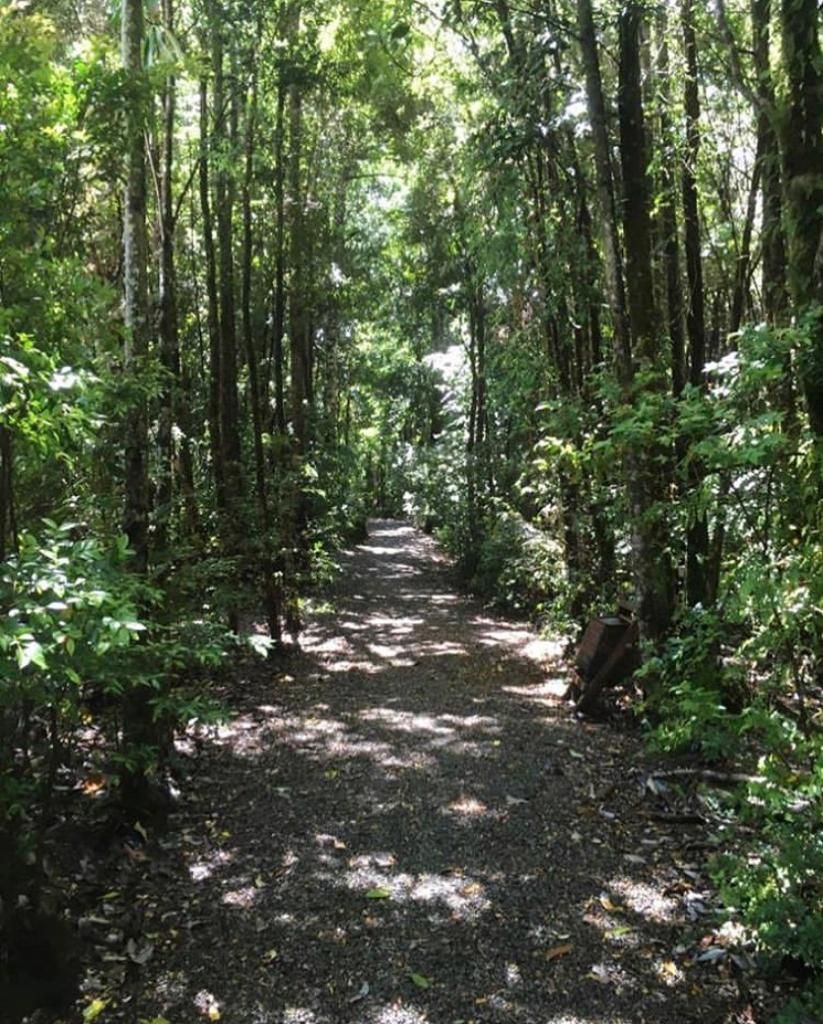 Javiera Niño De Zepeda Gomez-3