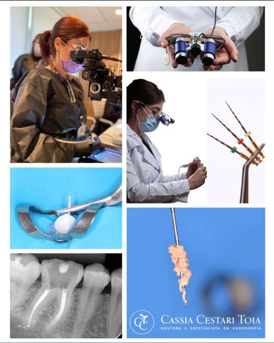 Cassia Cestari Toia-17