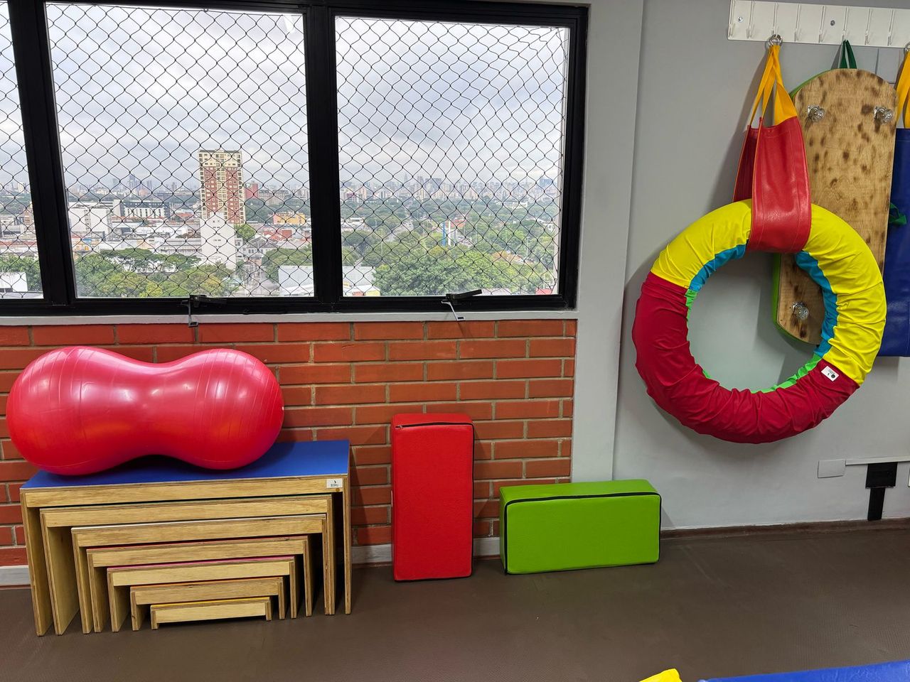 Aline França Rodriguez Loira-7