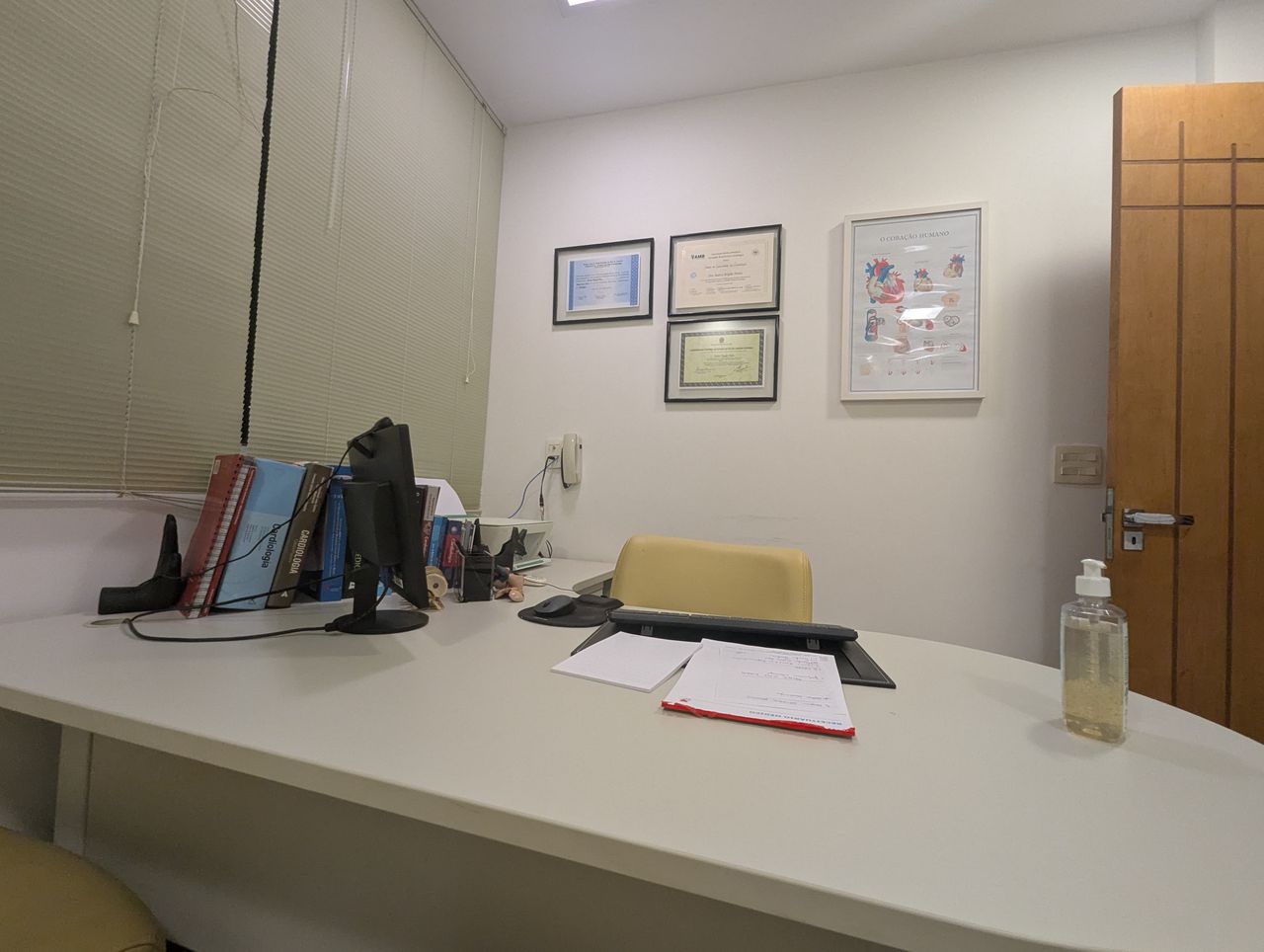 Beatriz Brígido Pontes-1