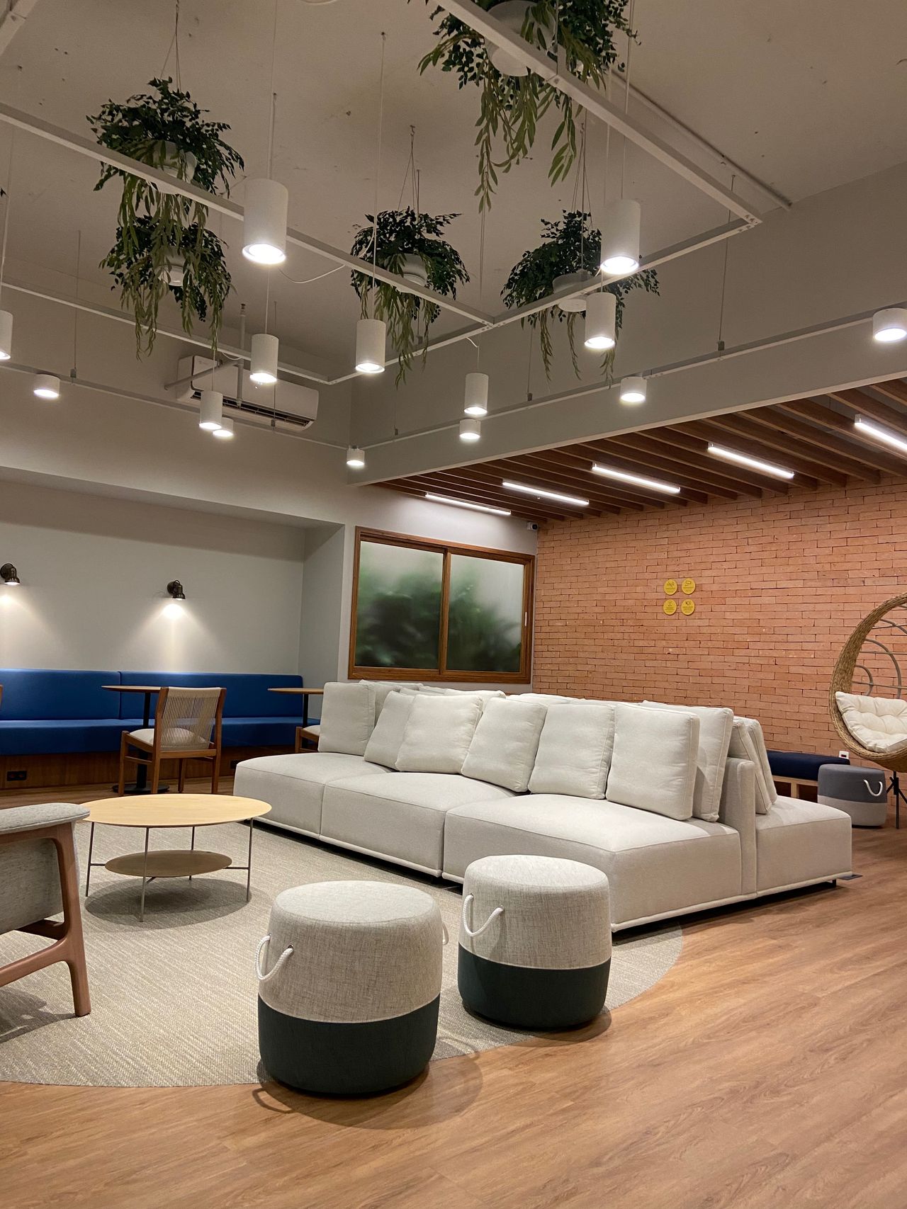 Letícia Barcelos Ribeiro-8