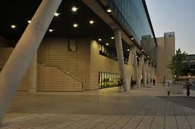 Luis Alberto Inzunza Constanzo-8