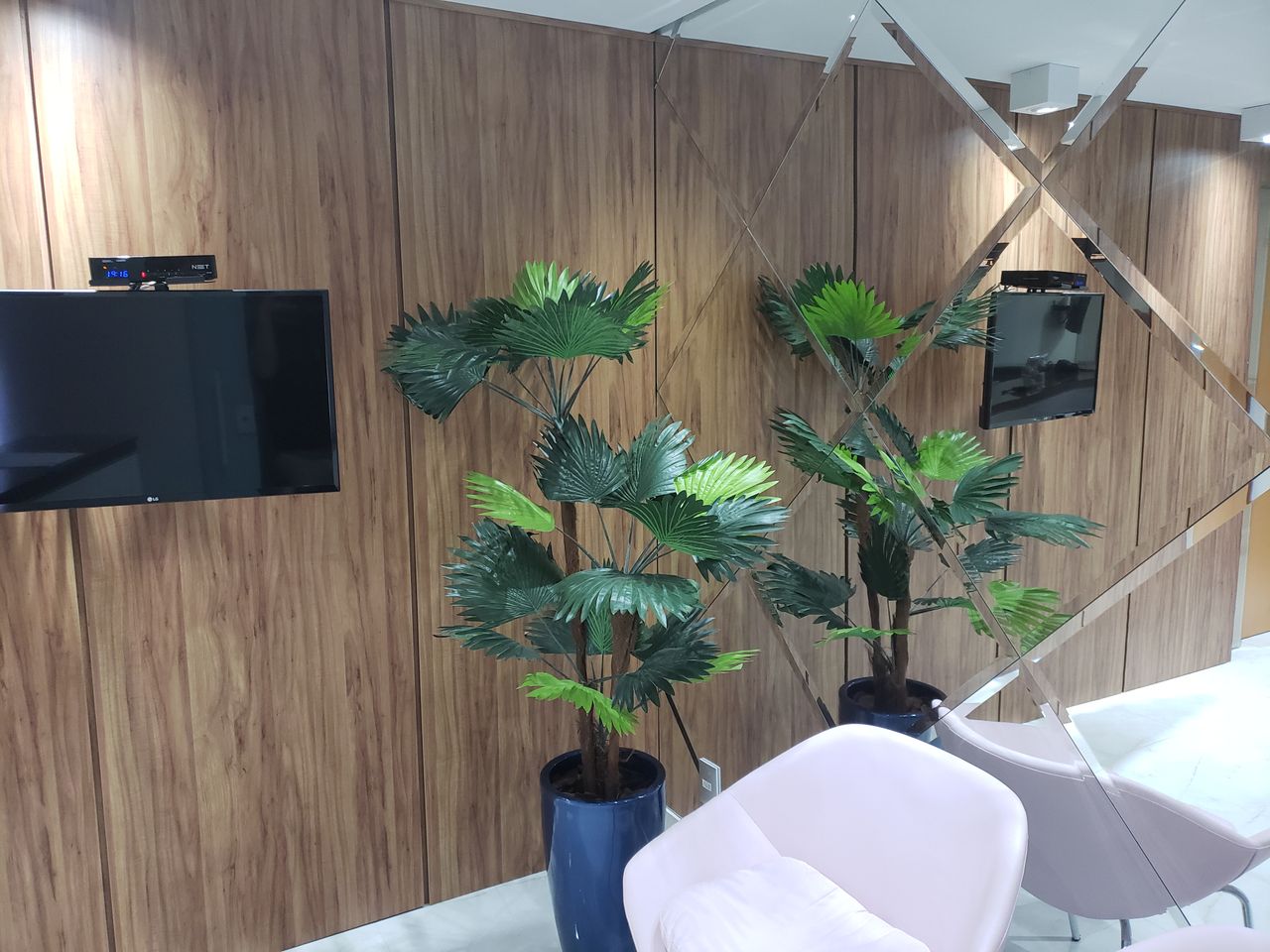 Belmiro Jose Santos De Siqueira-2