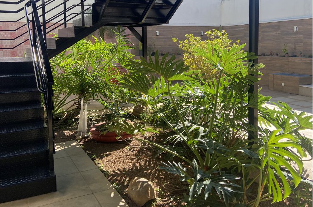 Giuliana Luppi Andreotti Mainardi-2