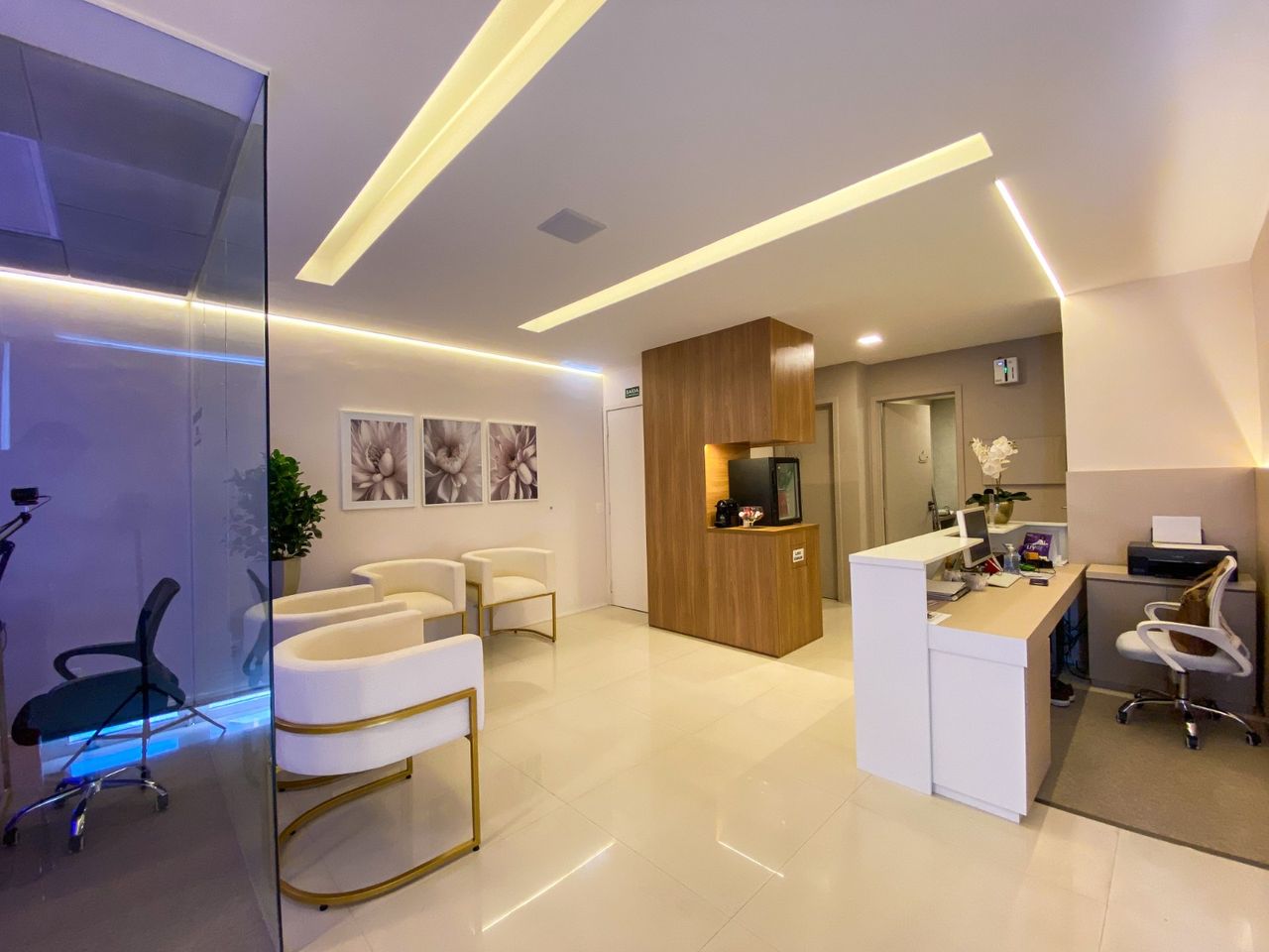 Jacqueline Herculano-2