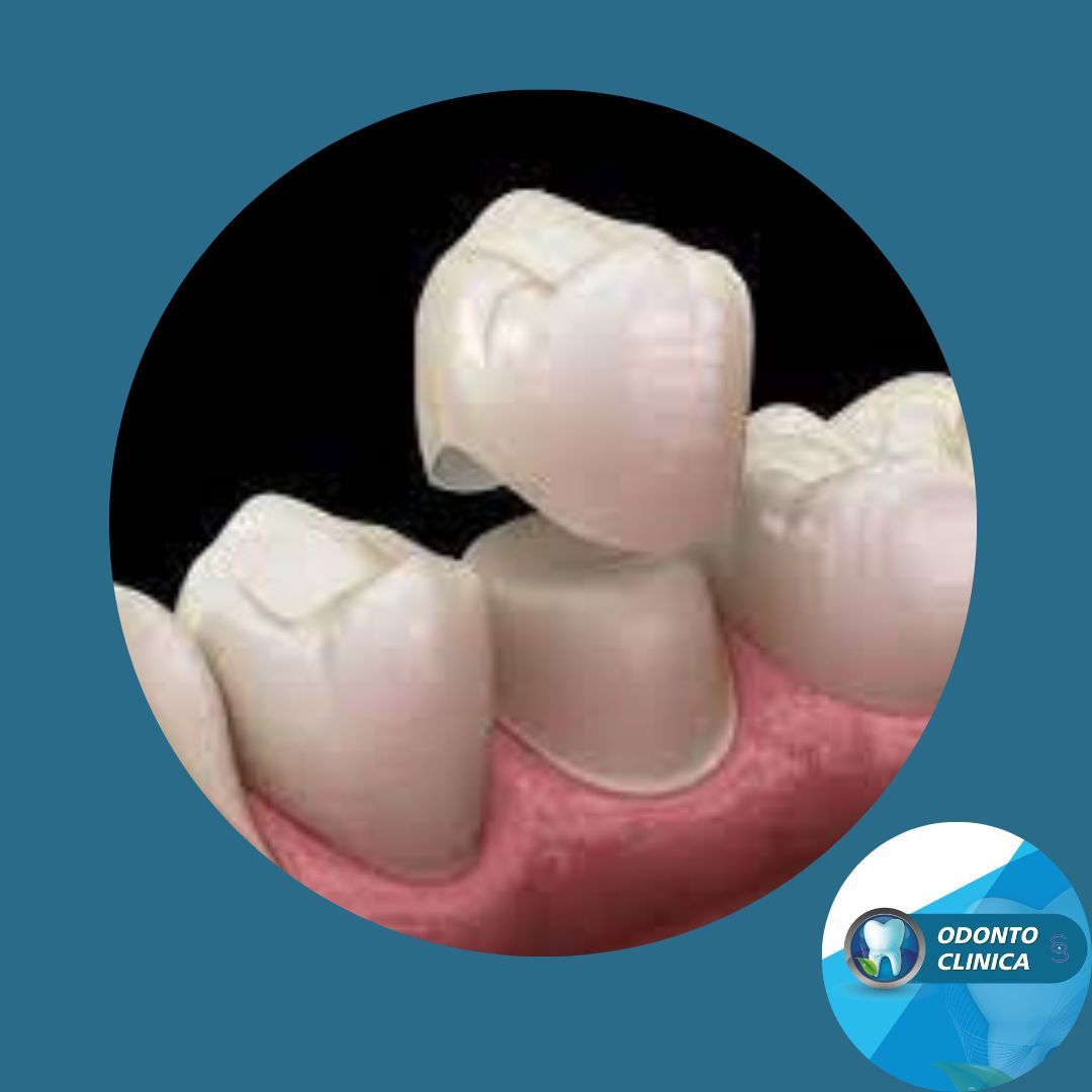 Cecilia Inés Socias Altamirano-32