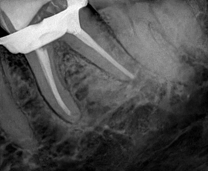 Laura Milena Salazar Monsalve-12