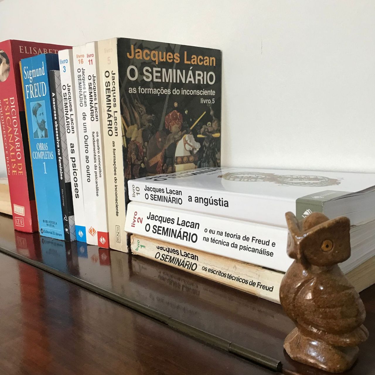 Larissa Soares Baima-1