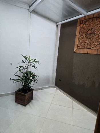 Viviane  Birche Rosa-6