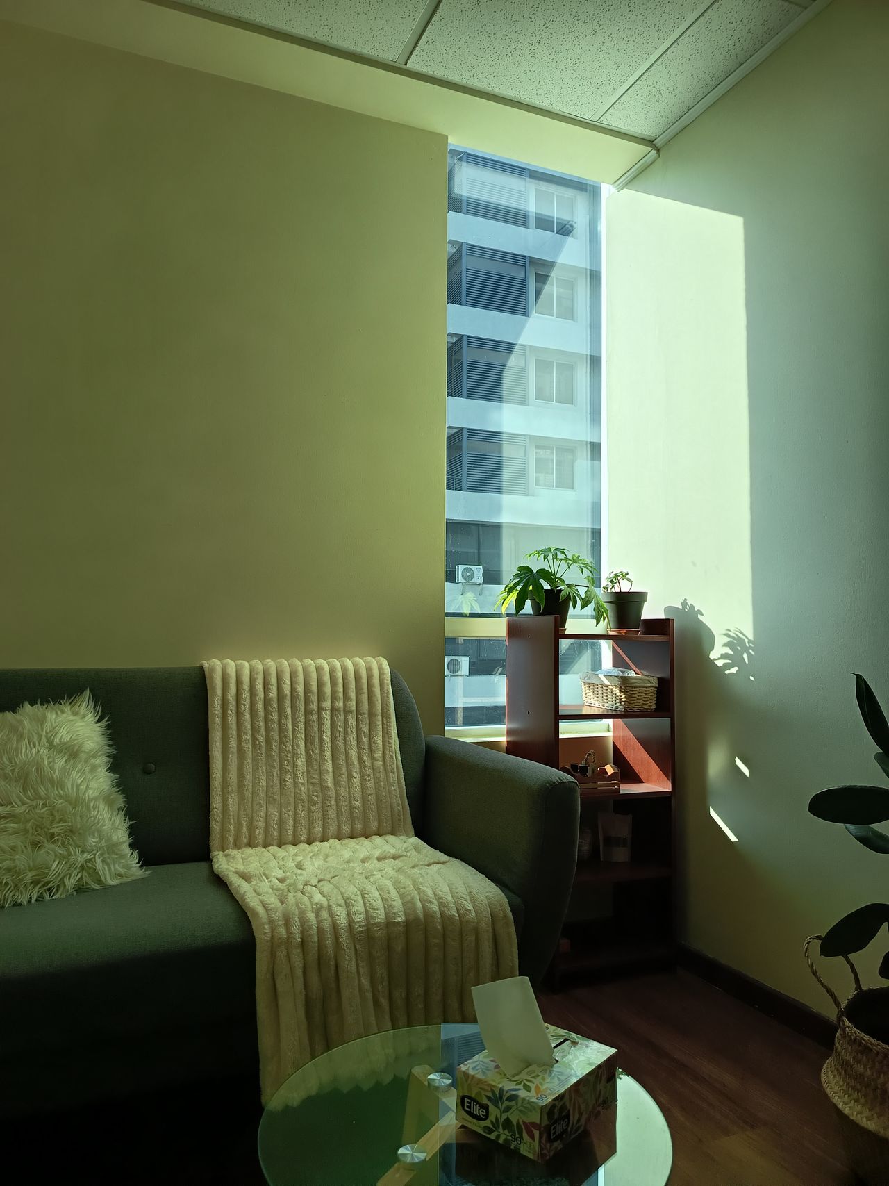 Consuelo Muñoz Vallejos-1