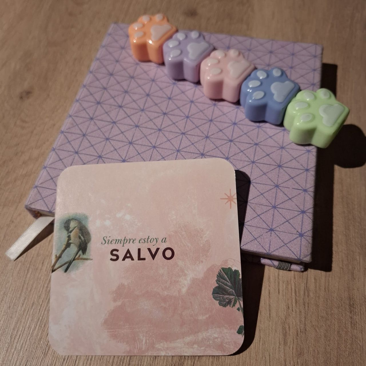 Jennifer Smith Bugueño-8