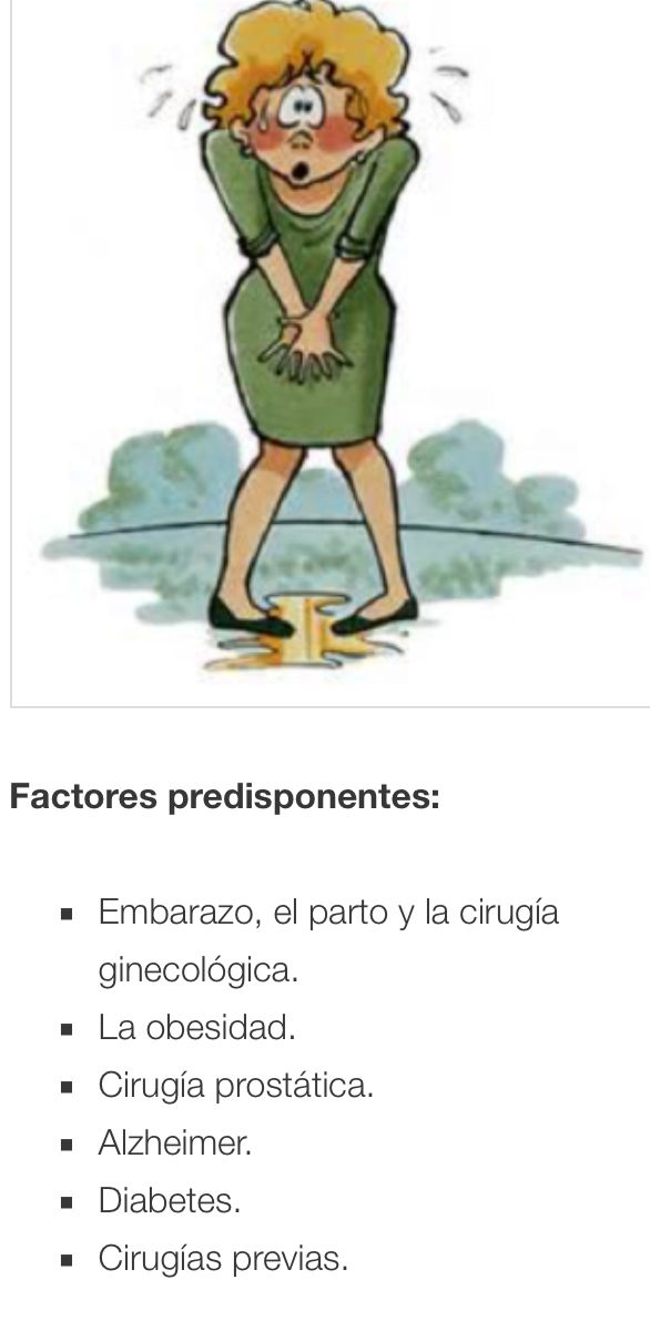 Luis Fernando Echeverry Molina-7