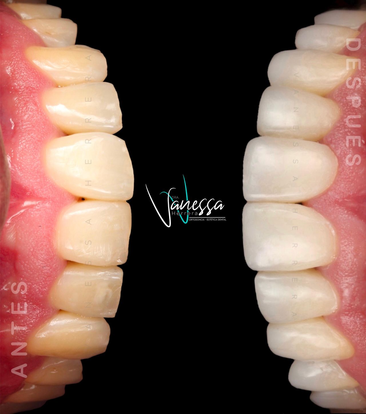 Vanessa Herrera Diaz-2