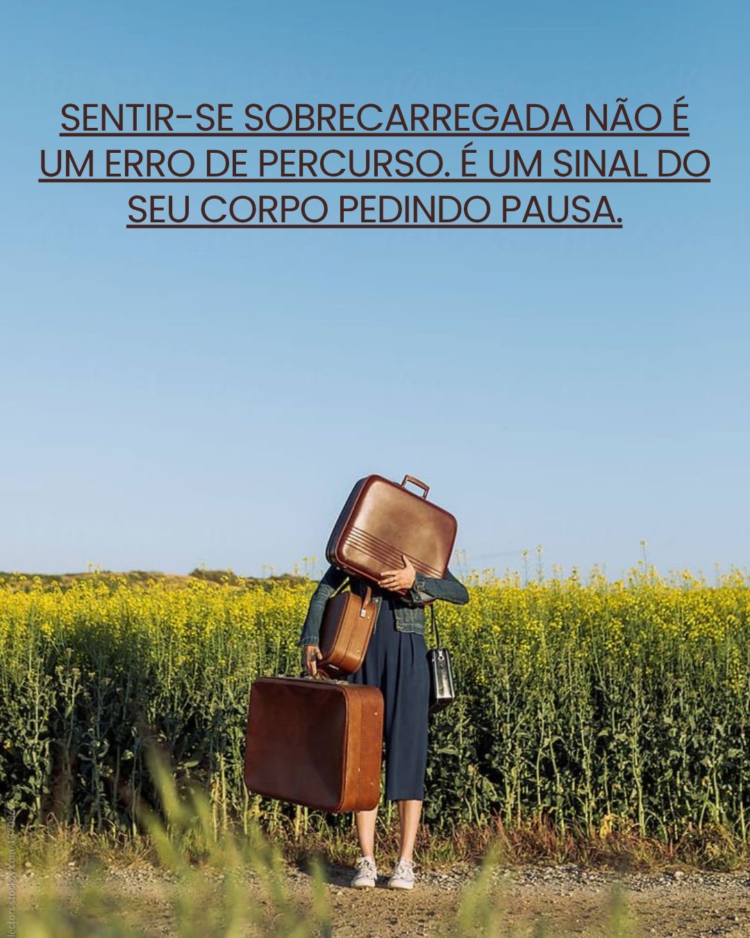 Lenir De Augustinho-8
