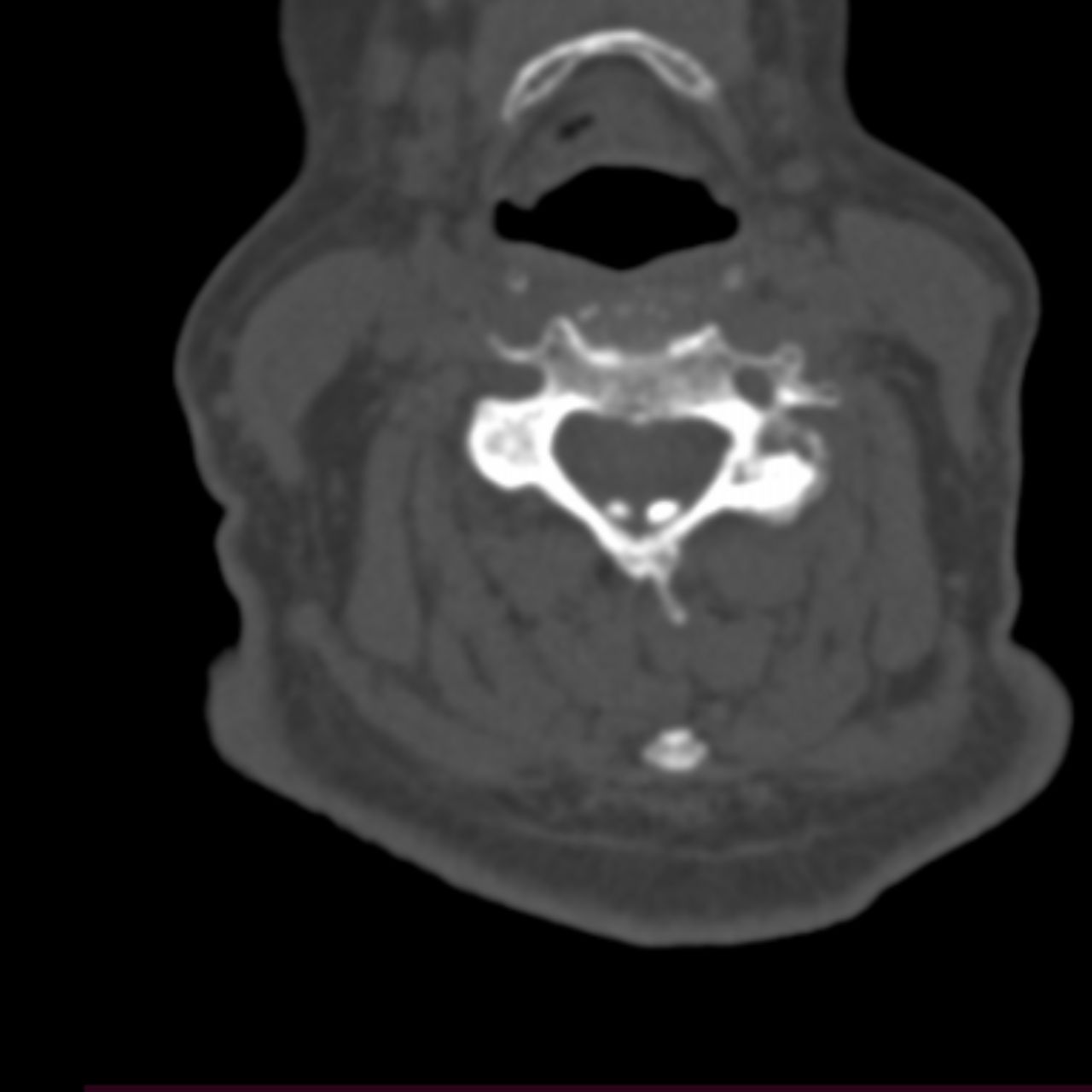 David Tafur Muñoz-2246