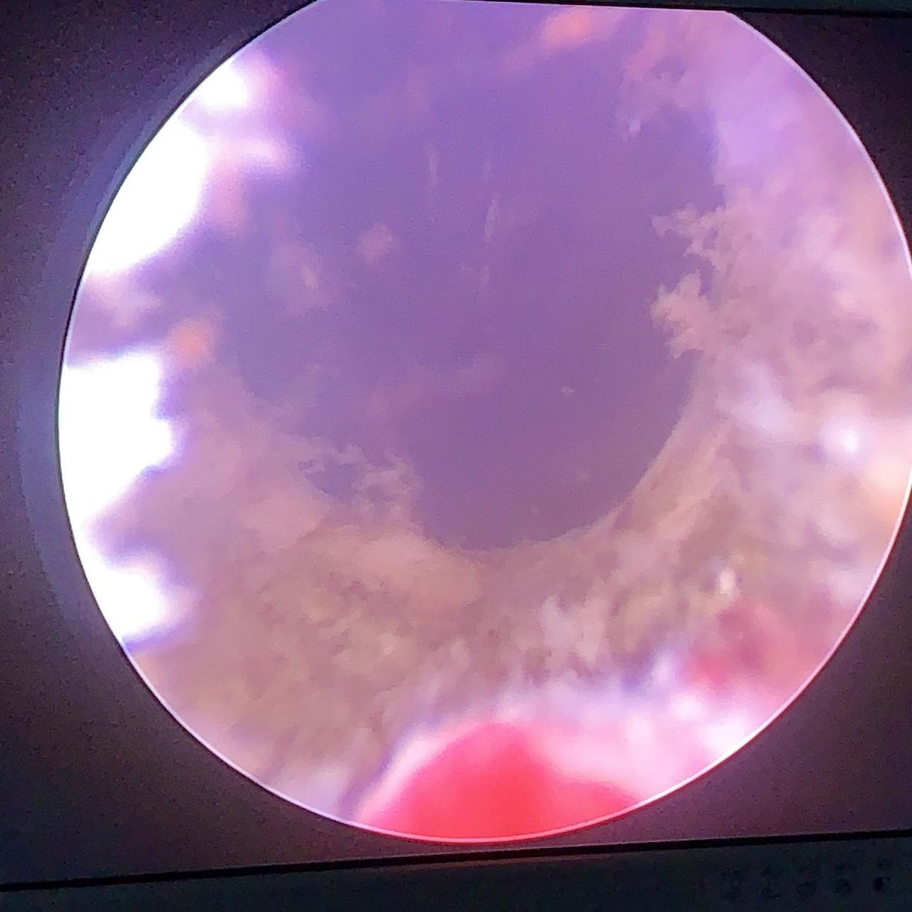 Jorge Mario Rincón Guzmán-5