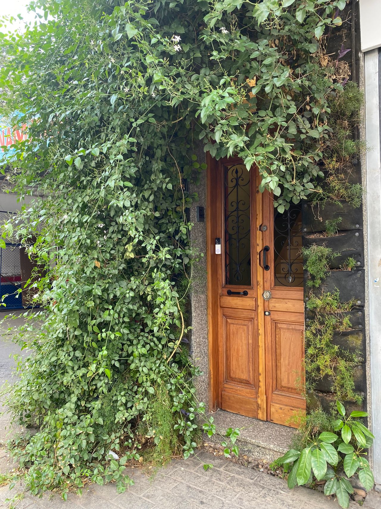 Adriana Silva Boreto-2