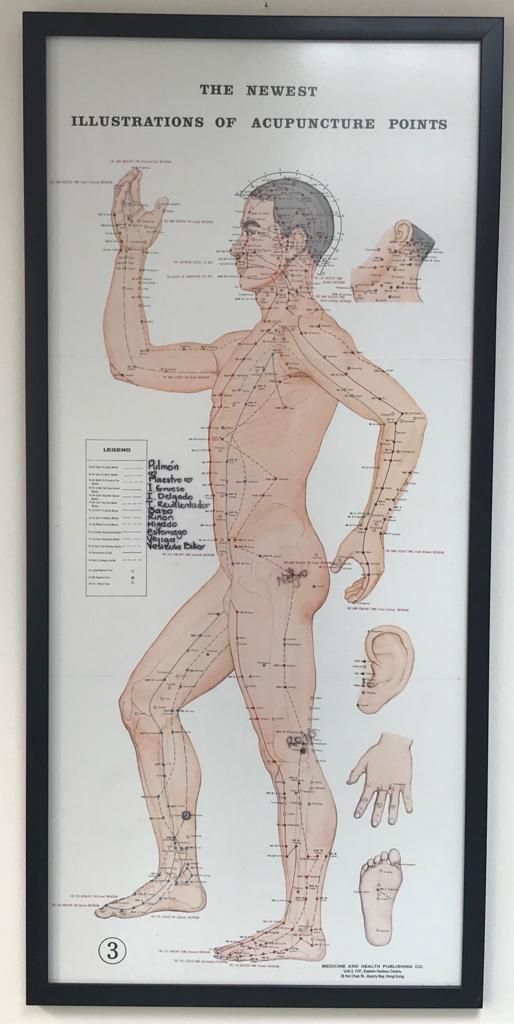 Juliana Torné Escobar-8