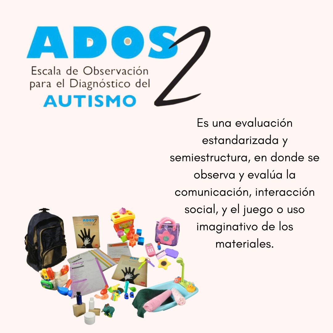 Javiera Araya Farías-1