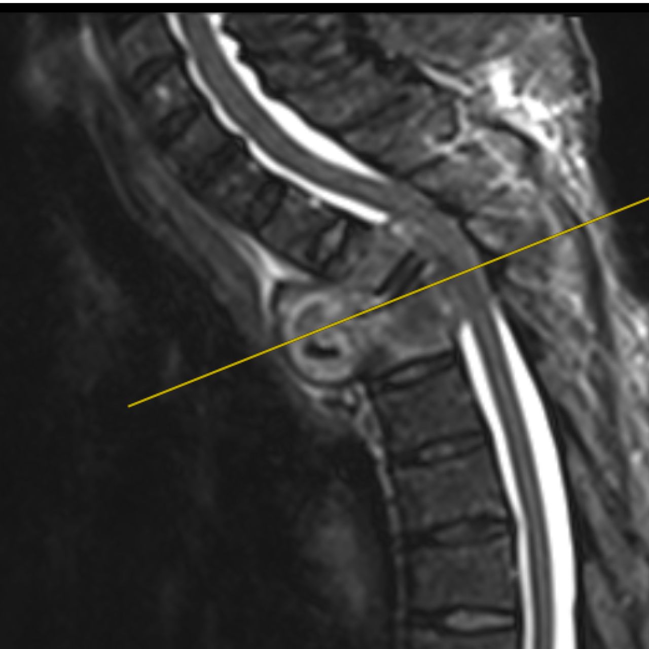 David Tafur Muñoz-2182