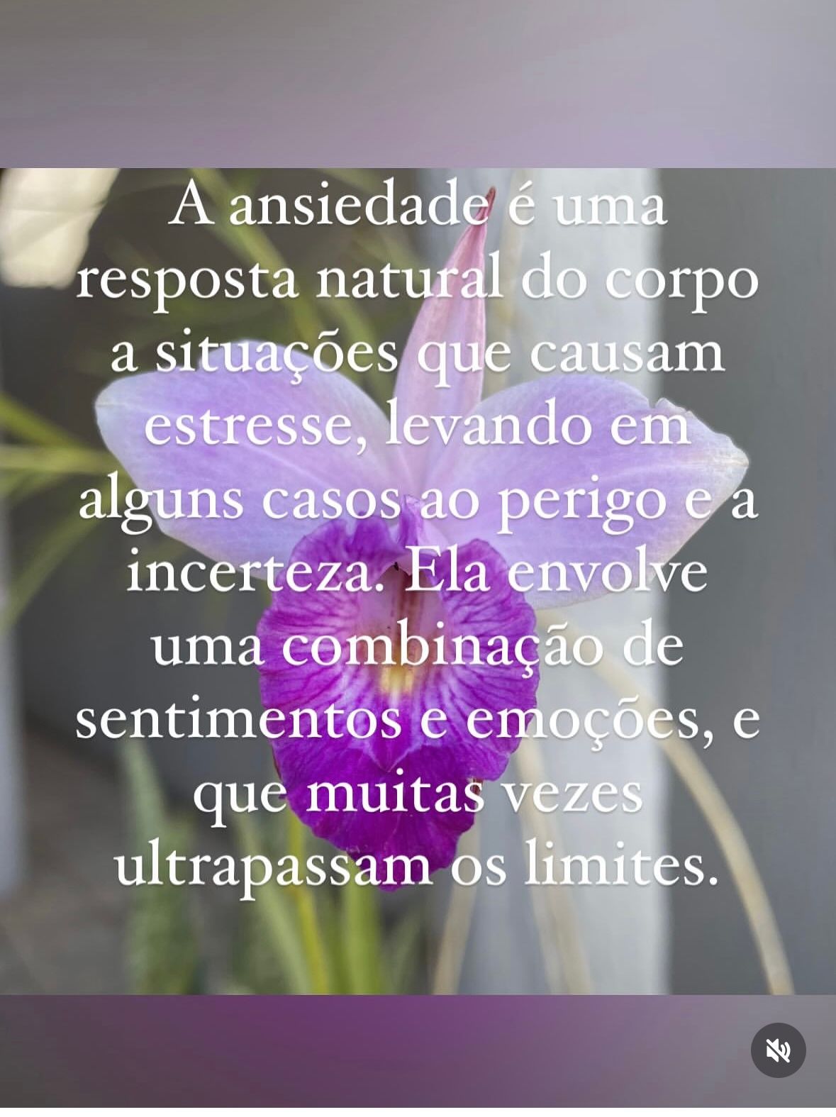 Sueli  Dos Santos Freitas Vaz -2