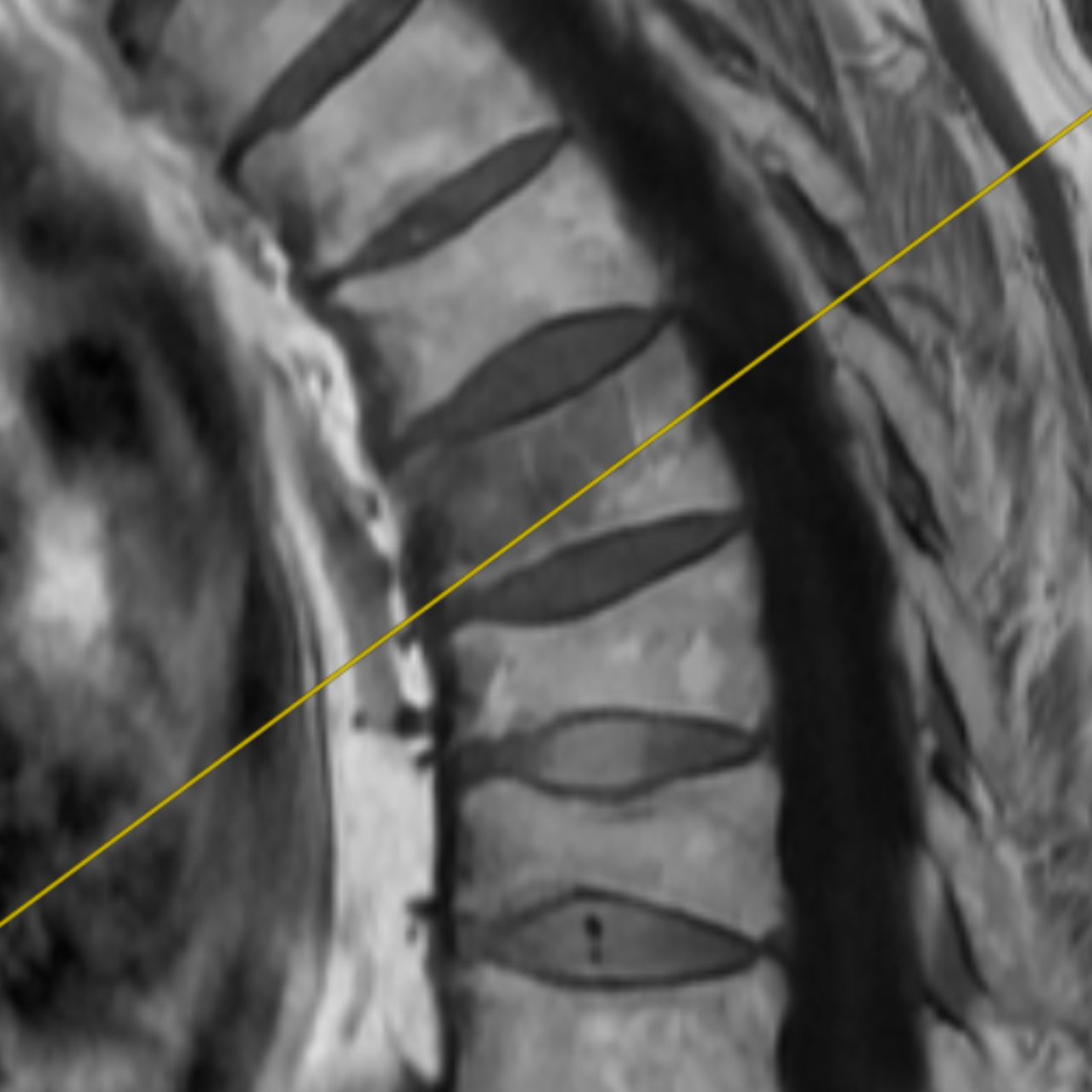 David Tafur Muñoz-1614