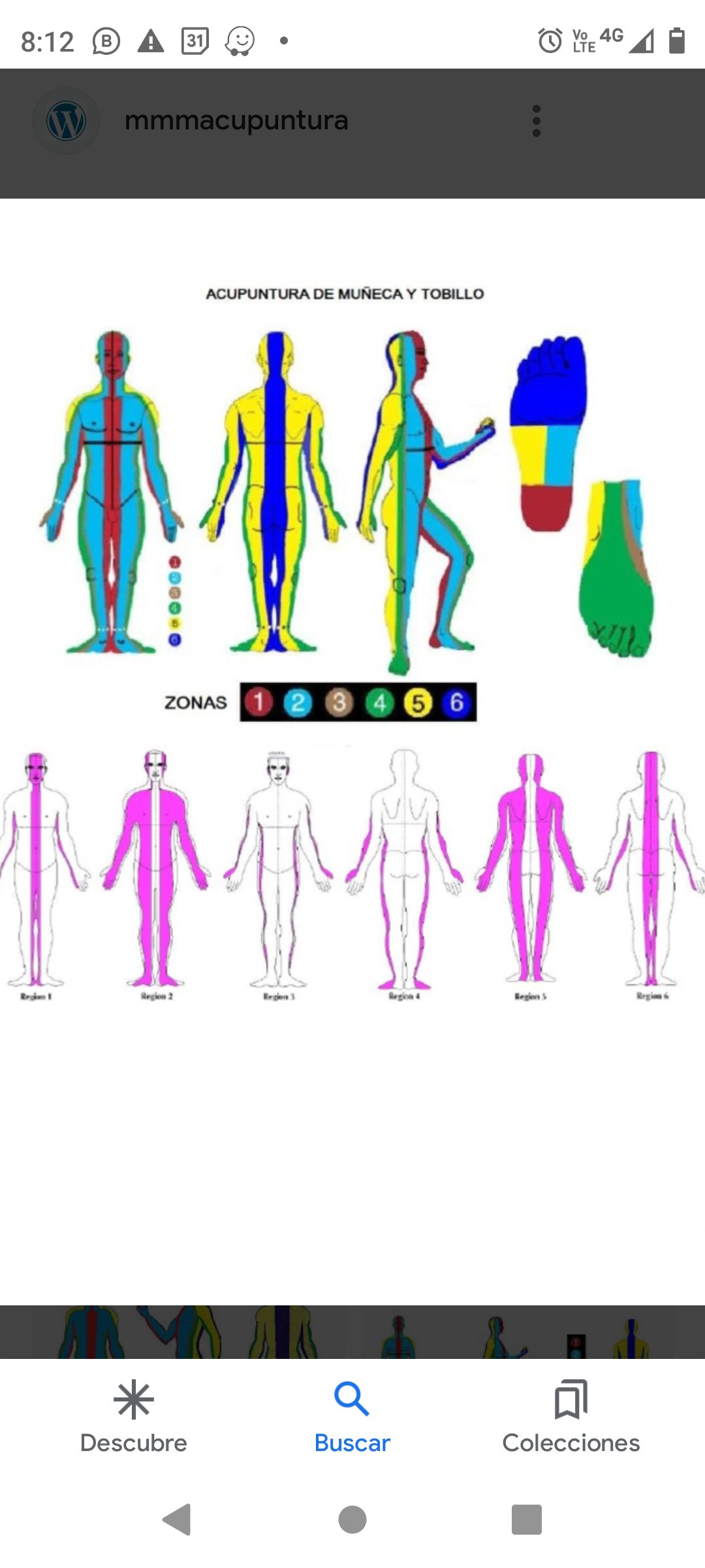 Luz Angela Murcia Camargo-11