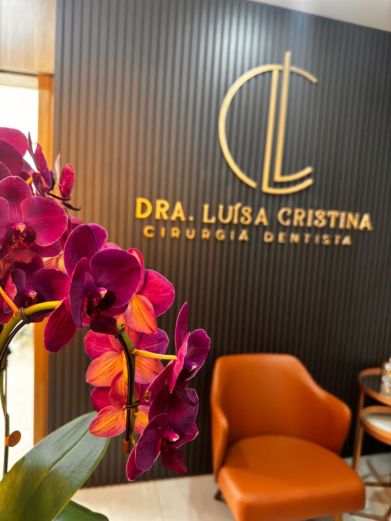 Luísa Cristina De Sousa-11