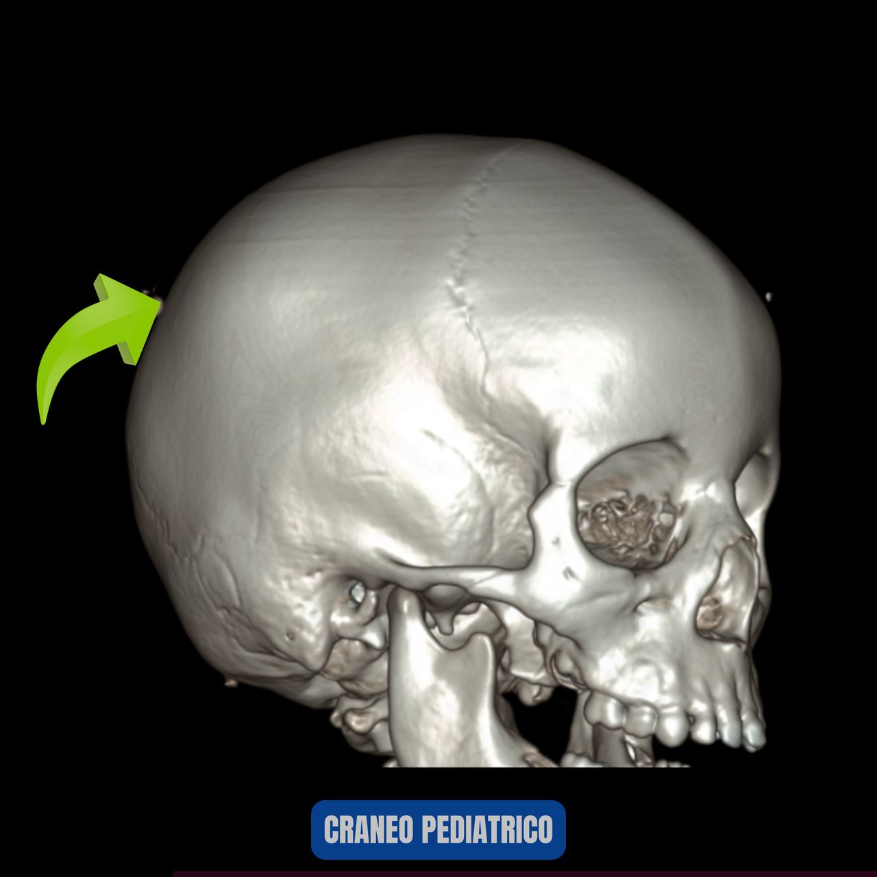 David Tafur Muñoz-1355