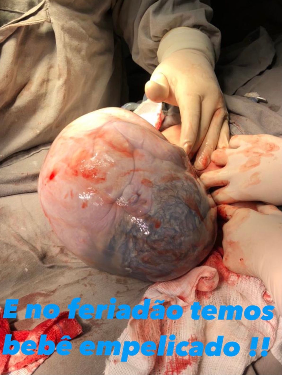 Alexandre De Barros Leite-3