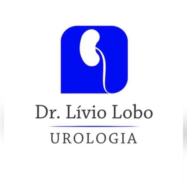 Lívio Lobo Fernandes Vieira-0