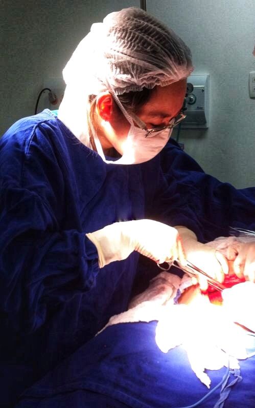 Danielle Cristina Miyamoto Araújo-14