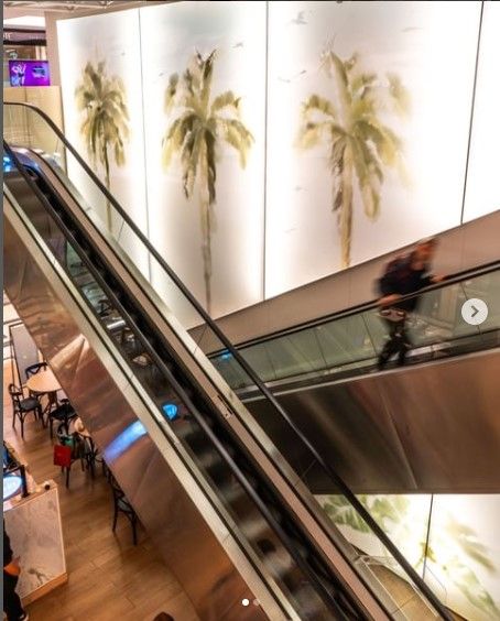 Luiz Paulo Rocha Zogob-6