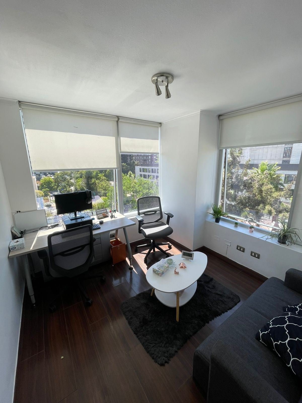 Ricardo Irarrázabal-2