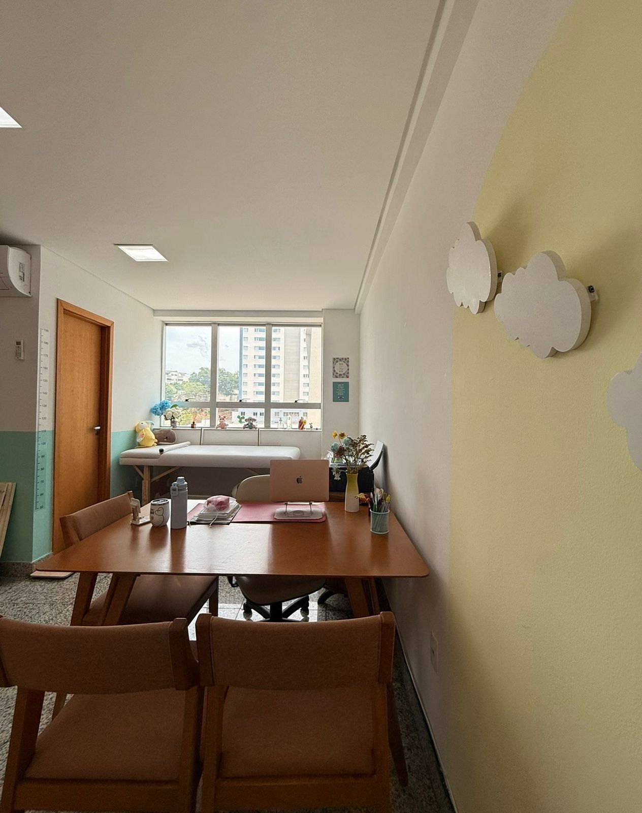 Camila Vidotti Castro Corrêa-1