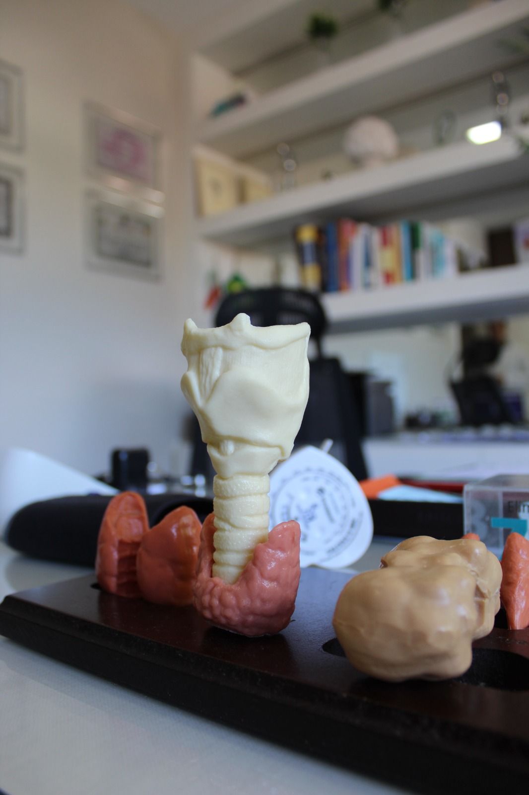 Frederico Marchisotti-10