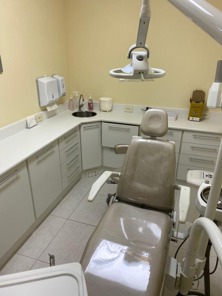 Alice Rodrigues De Araújo-2