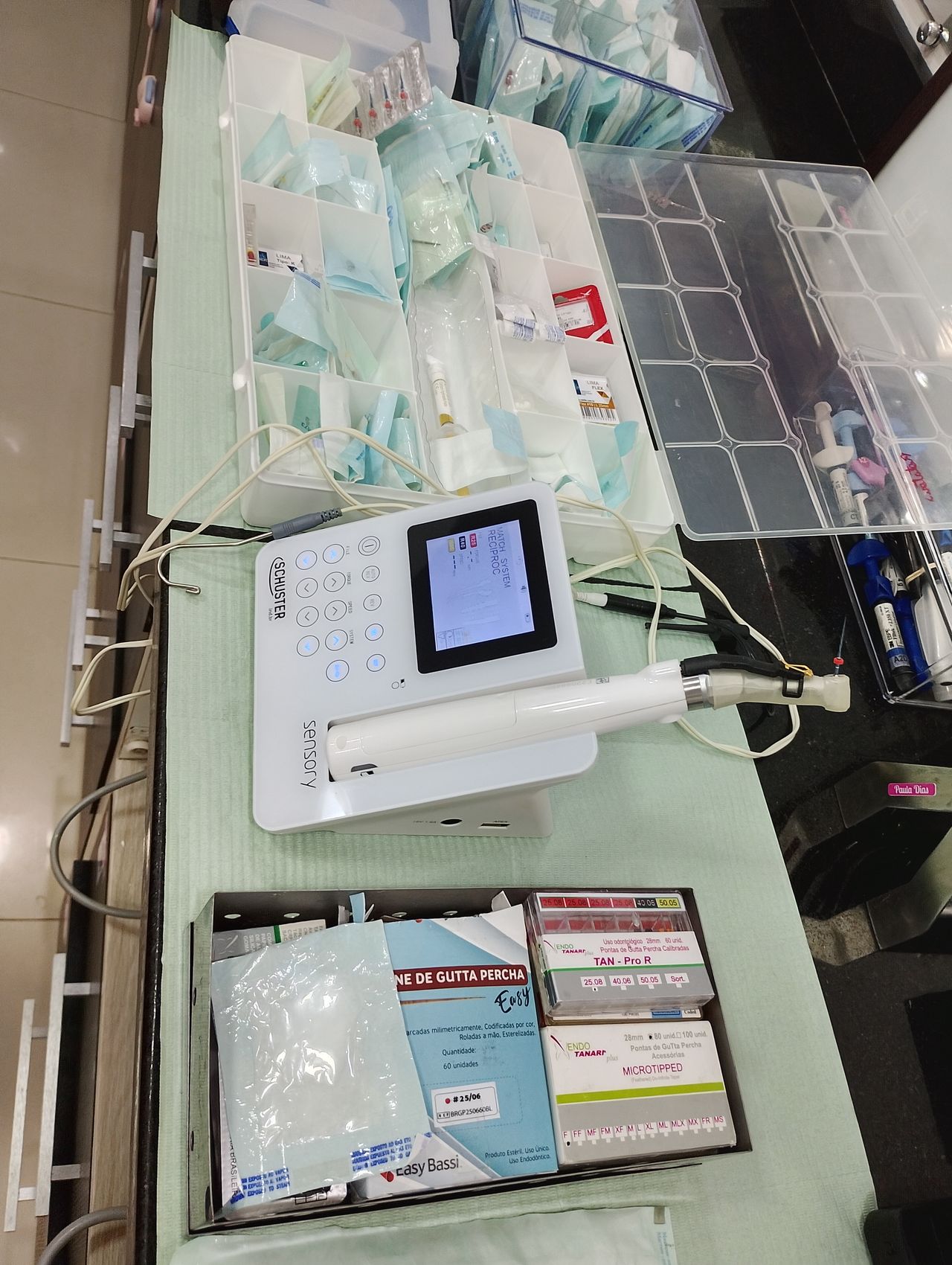 Paula Veridiana Uehbe Dias-17