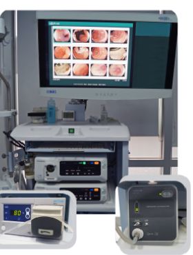 Jenny Leonor Molano Caro-5