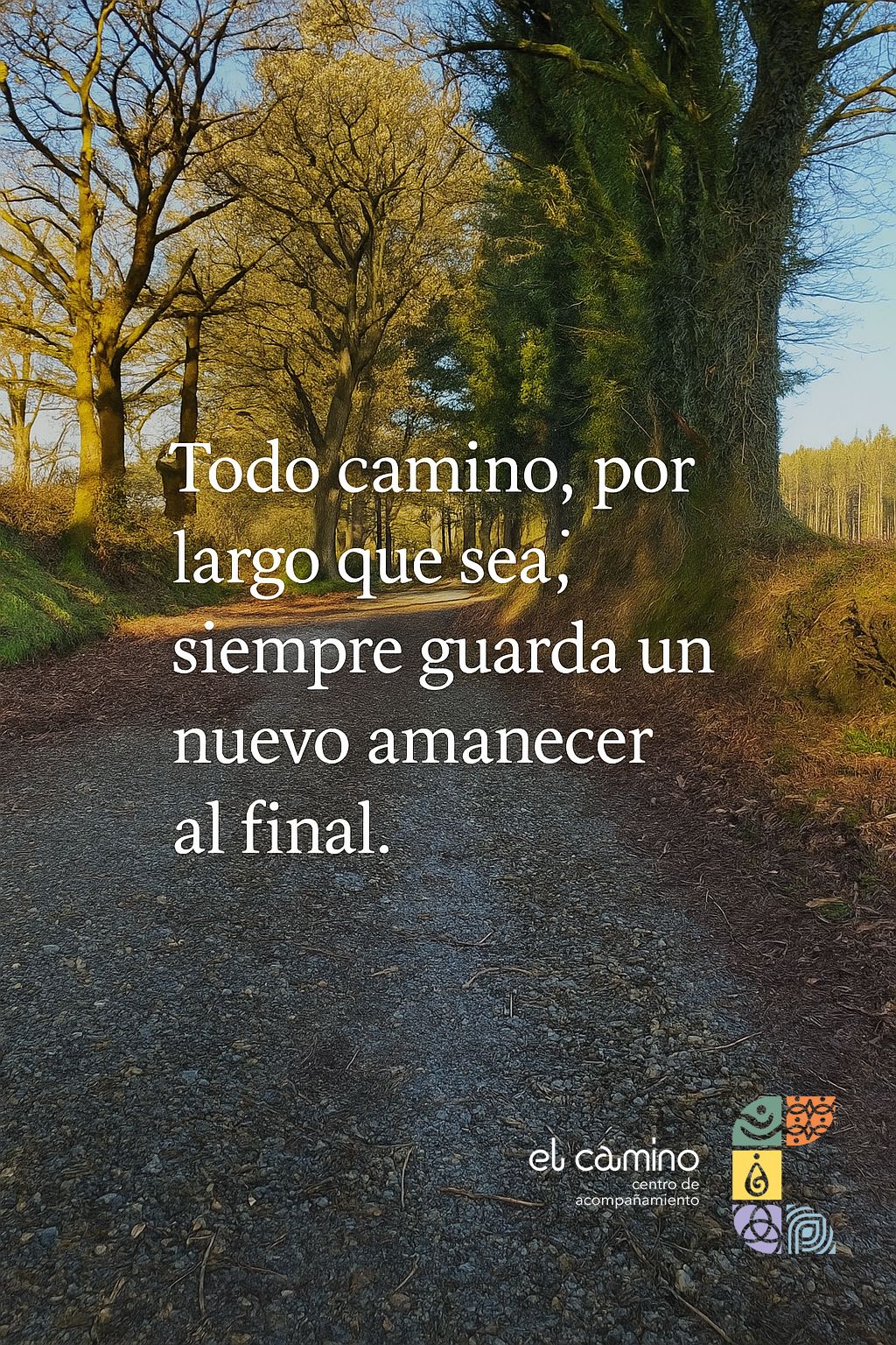 Daniel Ángel Galaz San Martín-0