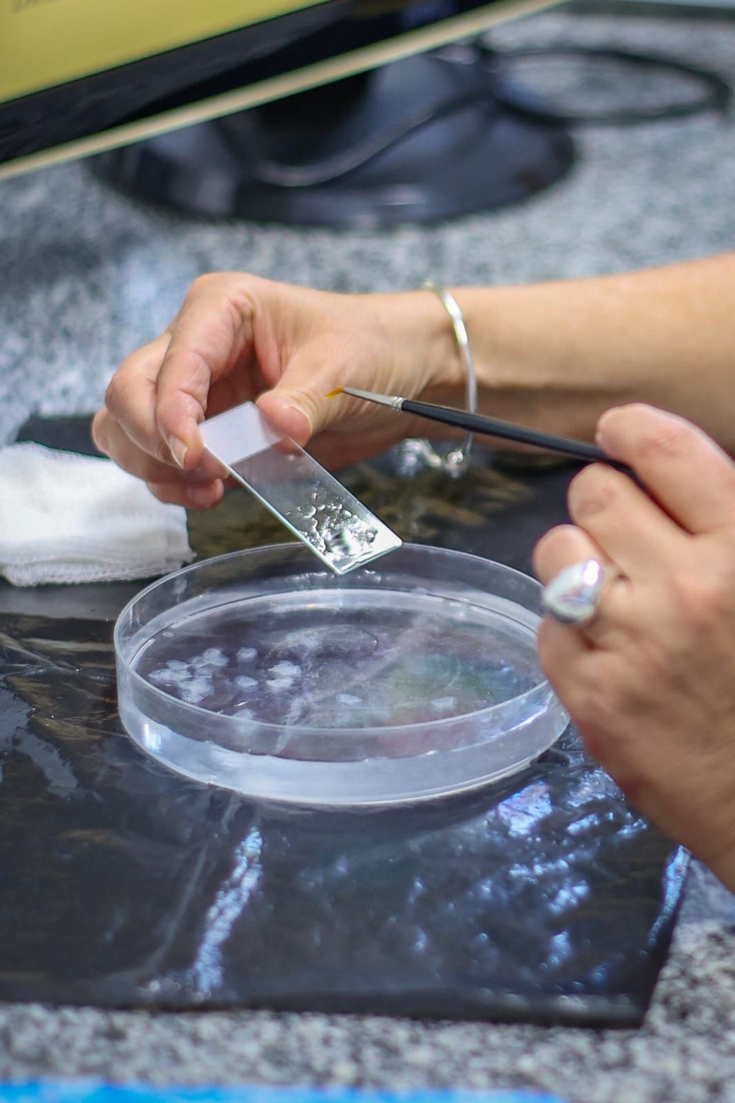 Fernanda Cardenas Muñoz-4