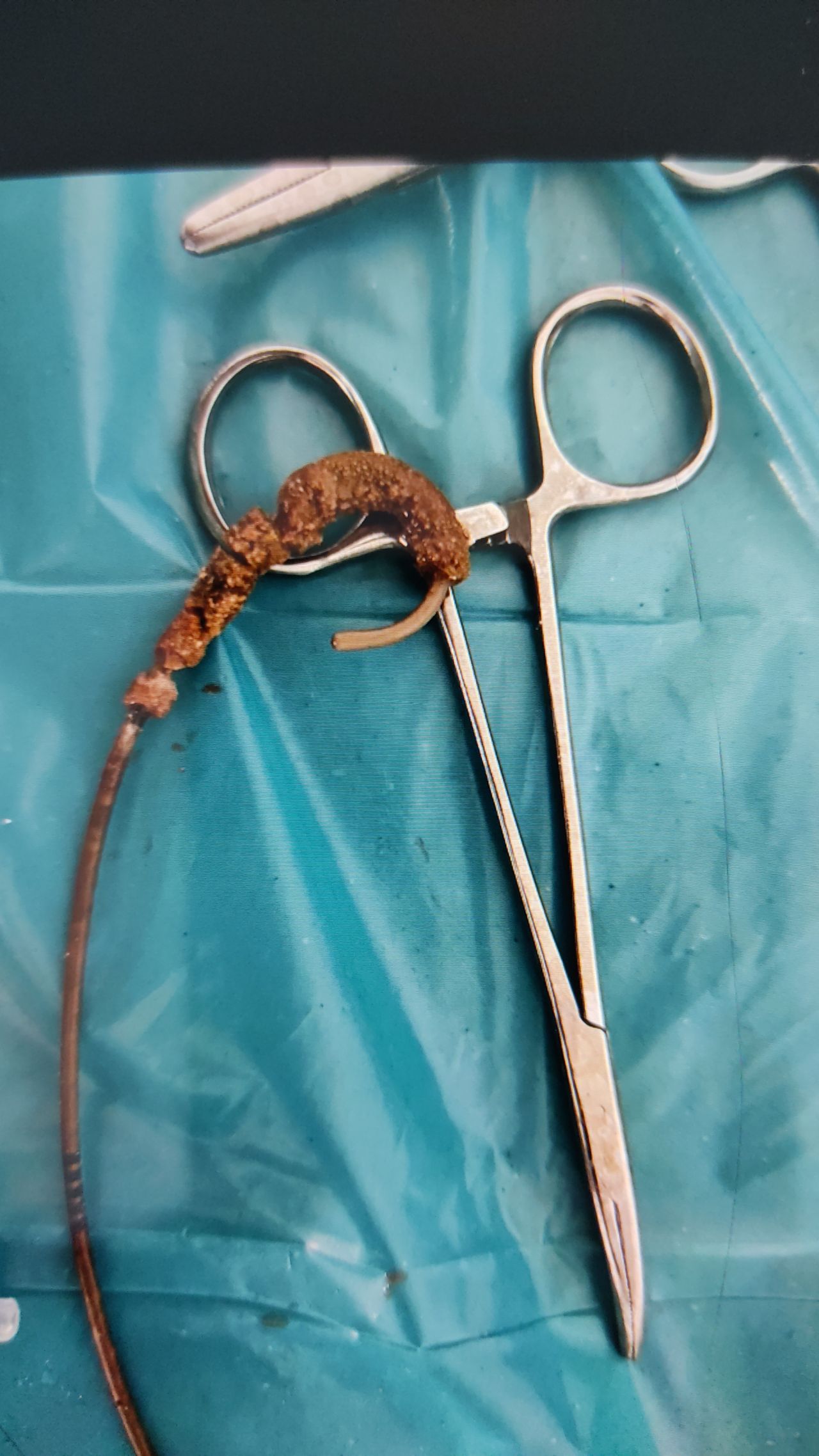 Raúl Federico Larcade-17