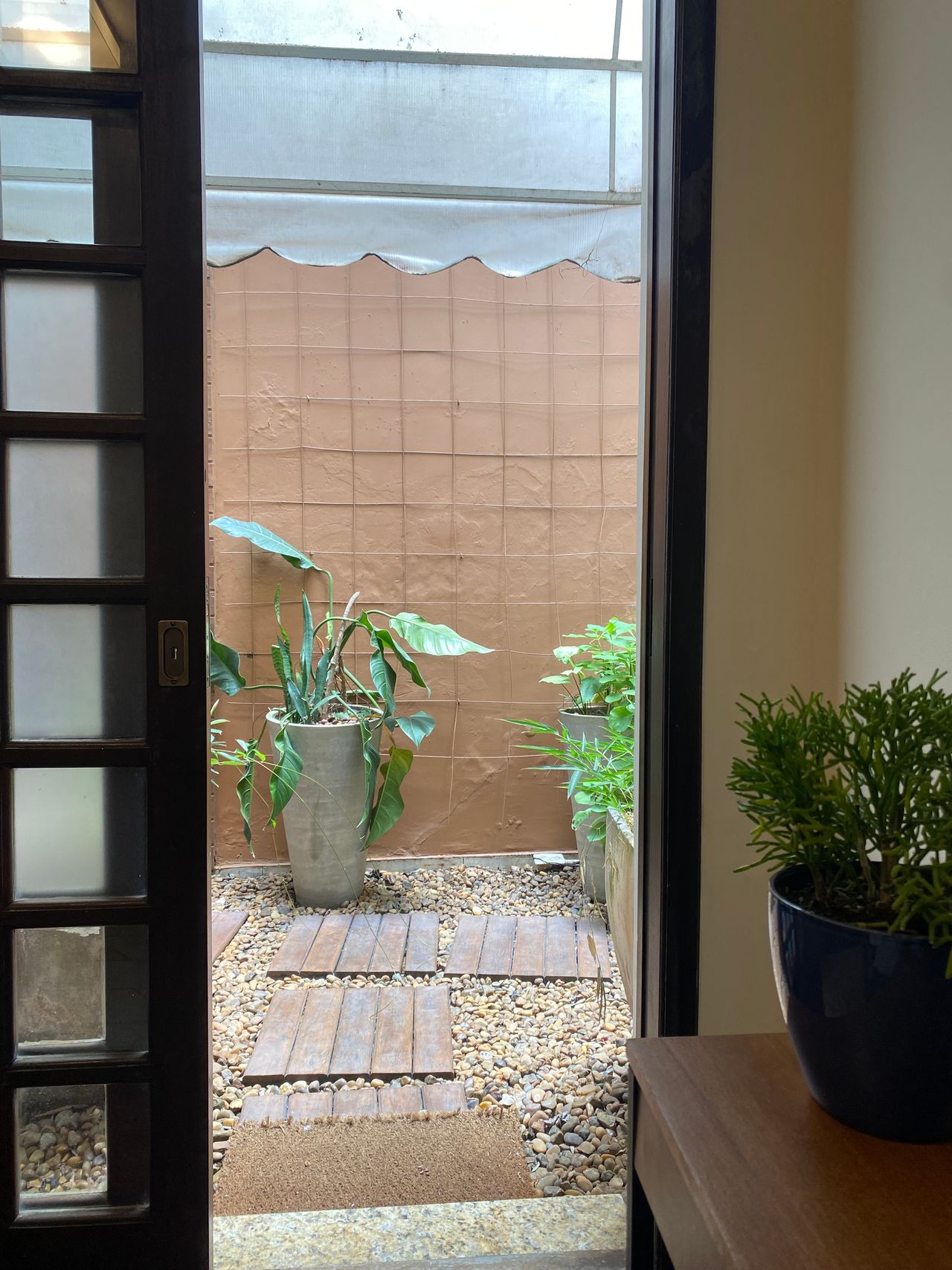 Fernanda Consentino-4