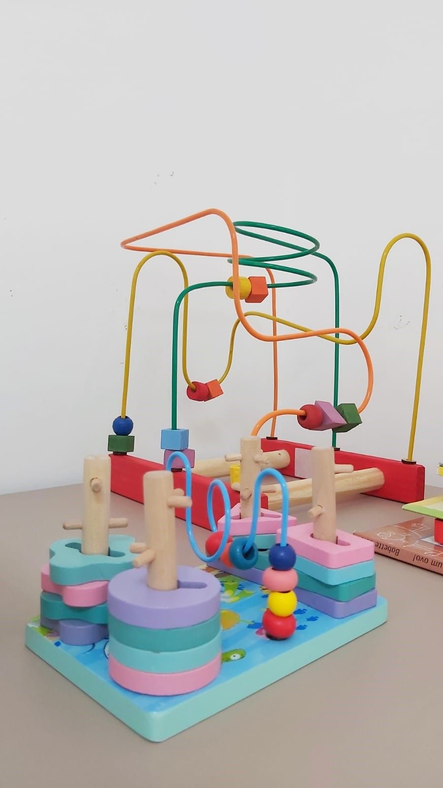 Camila Ortis Escorel De Azevedo Carnicelli-3